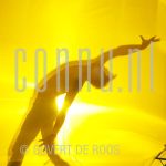 05-06-2004 Dance.

[keywords]Model, Movement, Dance[/keywords]